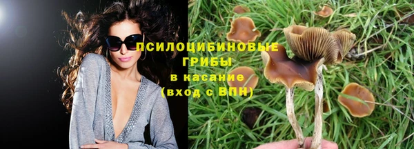 метадон Арсеньев