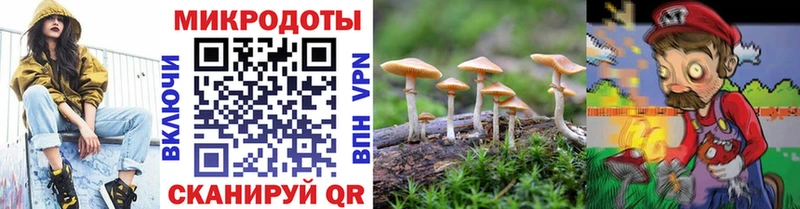 Галлюциногенные грибы мухоморы  дарк нет как зайти  Канаш 